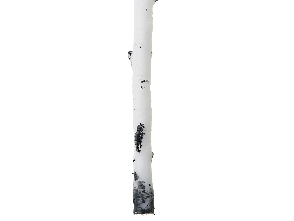 3736ab2bf4d252fd.jpg